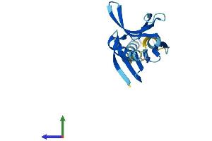 AlphaFold protein structure predicition of Human Recombinant PIGH Protein, UniprotID Q14442