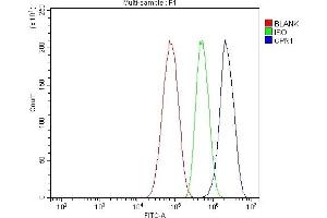 Flow Cytometry analysis of HepG2 cells using anti-CPN1 antibody (ABIN7600158). (CPN1 抗体  (AA 158-208))