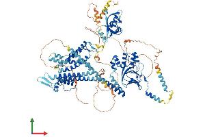 AlphaFold protein structure predicition of Mouse Recombinant Kcnh5 Protein, UniprotID Q920E3 (KCNH5 Protein (AA 1-988) (His tag))
