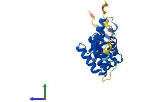 Protein Structure (PS) image for Armadillo Repeat Containing 7 (ARMC7) (AA 1-198) protein (His tag) (ABIN7552245)