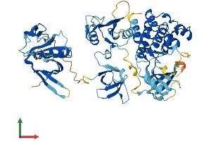 AlphaFold protein structure predicition of Human Recombinant ITK Protein, UniprotID Q08881