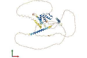 Protein Structure (PS) image for Acyl-CoA Binding Domain Containing 5 (ACBD5) (AA 1-508) protein (His tag) (ABIN7557572)