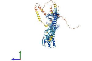 Protein Structure (PS) image for Cyclic Nucleotide Gated Channel alpha 2 (CNGA2) (AA 1-664) protein (His tag) (ABIN7553510)