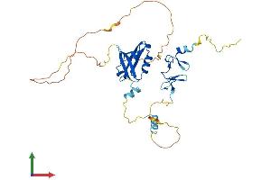 Protein Structure (PS) image for PDZ and LIM Domain 4 (PDLIM4) (AA 1-330) protein (His tag) (ABIN7550607)
