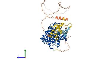 Protein Structure (PS) image for Cyclin-Dependent Kinase 16 (CDK16) (AA 1-496) protein (His tag) (ABIN7553270)