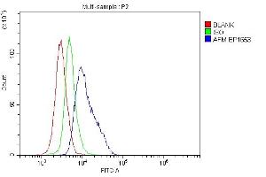 anti-Afamin (AFM) (AA 40-596) antibody