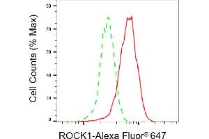 Flow cytometric analysis of ROCK1 expression in HepG2 cells using ROCK1 antibody (ABIN7800201), 1:2,000).