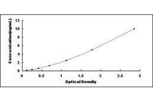Leucine-Rich Repeat LGI Family, Member 3 (LGI3) ELISA Kit