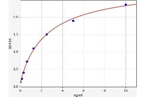 Interleukin 2 Receptor, gamma (IL2RG) ELISA Kit