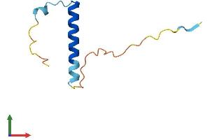 AlphaFold protein structure predicition of Human Recombinant NRGN Protein, UniprotID Q92686 (Neurogranin Protein (NRGN) (AA 1-78) (Fc Tag))