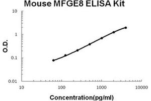 Mouse MFGE8/Lactadherin PicoKine ELISA Kit standard curve (MFGE8 ELISA 试剂盒)