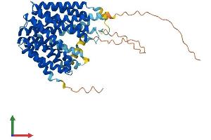 AlphaFold protein structure predicition of Mouse Recombinant Mfsd9 Protein, UniprotID Q8C0T7 (MFSD9 Protein (AA 1-466) (His tag))
