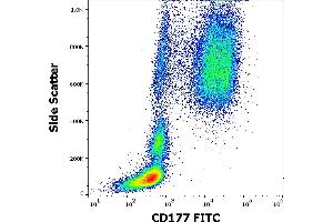 Flow cytometry surface staining pattern of human peripheral whole blood stained using anti-human CD177 (MEM-166) FITC antibody (20 μL reagent / 100 μL of peripheral whole blood).