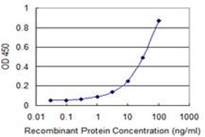 Detection limit for recombinant GST tagged ERAP1 is 0. (ERAP1 抗体  (AA 832-941))