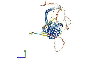 Protein Structure (PS) image for Rac GTPase Activating Protein 1 (RACGAP1) (AA 1-632) protein (His tag) (ABIN7555220)