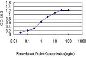 Detection limit for recombinant GST tagged PTBP1 is approximately 0. (PTBP1 抗体  (AA 45-144))