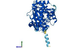 Protein Structure (PS) image for 1-Acylglycerol-3-Phosphate O-Acyltransferase 5 (Lysophosphatidic Acid Acyltransferase, Epsilon) (AGPAT5) (AA 1-364) protein (His tag) (ABIN7555021)