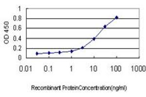 Detection limit for recombinant GST tagged RAB11A is approximately 1ng/ml as a capture antibody. (RAB11A 抗体  (AA 1-216))
