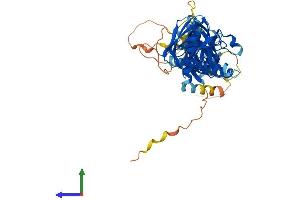 Protein Structure (PS) image for Syntrophin, gamma 2 (SNTG2) (AA 1-539) protein (His tag) (ABIN7546109)