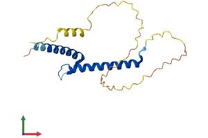 Protein Structure (PS) image for Fer3-Like (FERD3L) (AA 1-168) protein (His tag) (ABIN7560252)