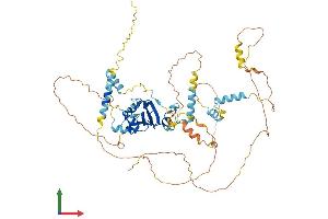 AlphaFold protein structure predicition of Mouse Recombinant Ncbp3 Protein, UniprotID Q8BZR9