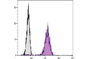 Chinese hamster ovary cell line CHO-K1 and BALB/cAnN mouse B lymphocyte cell line A20 were stained with Hamster Anti-Mouse CD81-BIOT. (CD81 抗体  (Biotin))