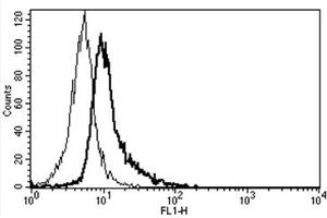 Flow Cytometry (FACS) image for anti-Interleukin 6 Signal Transducer (Gp130, Oncostatin M Receptor) (IL6ST) antibody (FITC) (ABIN1105854) (CD130/gp130 抗体  (FITC))