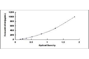 Typical standard curve (Nerve Growth Factor ELISA 试剂盒)