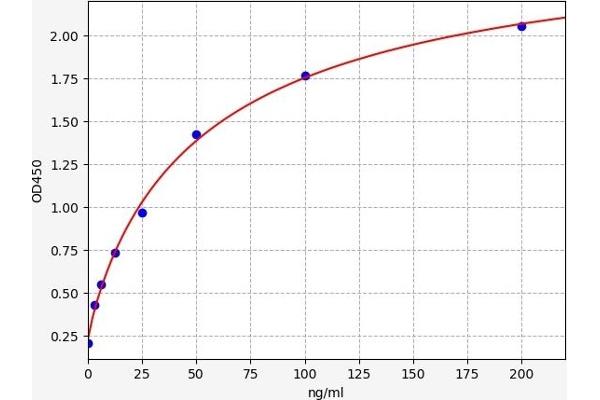 F12 ELISA 试剂盒