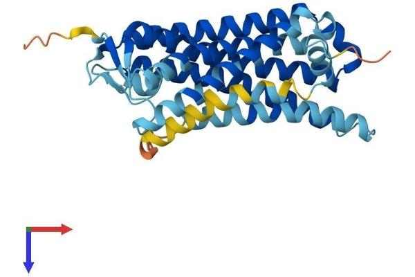 OR6B2 Protein (AA 1-312) (His tag)