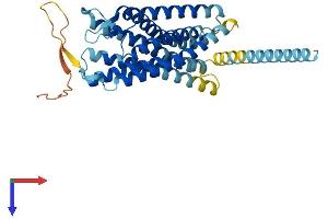 CXCR7 Protein (AA 1-362) (His tag)
