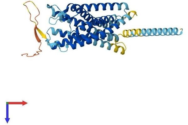 CXCR7 Protein (AA 1-362) (His tag)