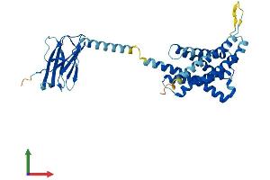 Protein Structure (PS) image for Protein tyrosine Phosphatase-Like A Domain Containing 1 (PTPLAD1) (AA 1-362) protein (His tag) (ABIN7554074)