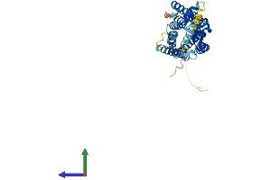 AlphaFold protein structure predicition of Human Recombinant NPY2R Protein, UniprotID P49146