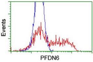 Image no. 6 for anti-Prefoldin Subunit 6 (PFDN6) (AA 2-129) antibody (ABIN1491113) (PFDN6 抗体  (AA 2-129))