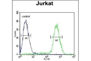 P1R3A Antibody (Center) (ABIN654633 and ABIN2844329) flow cytometric analysis of Jurkat cells (right histogram) compared to a negative control cell (left histogram). (PPP1R3A 抗体  (AA 754-782))