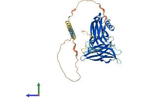 Protein Structure (PS) image for Synaptotagmin XV (SYT15) (AA 1-421) protein (His tag) (ABIN7544119)