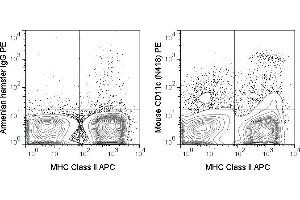 C57Bl/6 splenocytes were stained with APC Anti-Mouse MHC Class II (ABIN6961495) and 0. (CD11c 抗体  (PE))