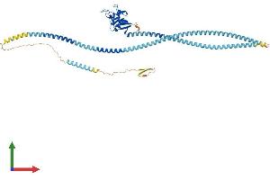 Protein Structure (PS) image for C-Type Lectin Domain Family 4, Member F (CLEC4F) (AA 1-548) protein (His tag) (ABIN7556673)