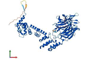 Protein Structure (PS) image for Kelch-Like 9 (KLHL9) (AA 1-617) protein (His tag) (ABIN7558142)