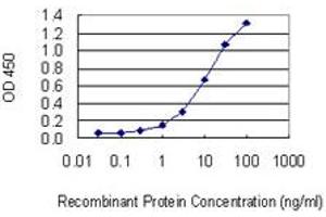 Detection limit for recombinant GST tagged DYRK3 is 0. (DYRK3 抗体  (AA 1-568))