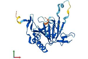 Protein Structure (PS) image for AlkB, Alkylation Repair Homolog 6 (ALKBH6) (AA 1-238) protein (His tag) (ABIN7552083)