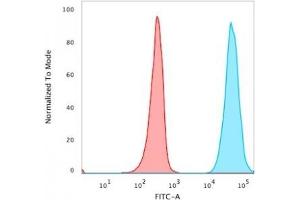 Flow Cytometric Analysis of PFA-fixed MCF-7 cells. (CD47 抗体)