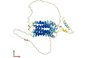 AlphaFold protein structure predicition of Mouse Recombinant Mfsd6l Protein, UniprotID Q8R3N2 (MFSD6L Protein (AA 1-586) (His tag))