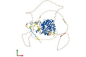 Protein Structure (PS) image for P21-Activated Kinase 6 (PAK6) (AA 1-681) protein (His tag) (ABIN7554874)