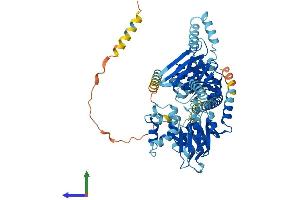Protein Structure (PS) image for ATP-Binding Cassette, Sub-Family F (GCN20), Member 2 (ABCF2) (AA 1-628) protein (His tag) (ABIN7560365)