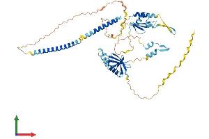 Protein Structure (PS) image for UBX Domain Protein 11 (UBXN11) (AA 1-520) protein (His tag) (ABIN7545020)