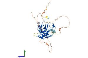 Protein Structure (PS) image for Chromosome 9 Open Reading Frame 156 (C9orf156) (AA 1-441) protein (His tag) (ABIN7544629)