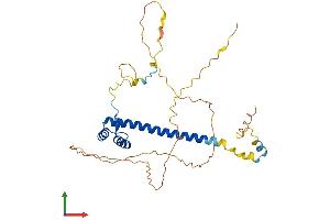 AlphaFold protein structure predicition of Human Recombinant TLX1 Protein, UniprotID P31314 (TLX1 Protein (AA 1-330) (His tag))