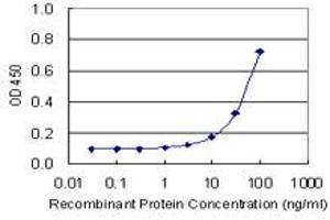 Detection limit for recombinant GST tagged CA4 is 3 ng/ml as a capture antibody. (CA4 抗体  (AA 27-126))